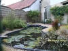une autre vue du bassin de jardin pour poissons rouges