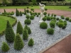 Une autre vue des buis boule et statue