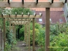 pergola pour rosiers