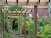 pergola pour rosiers