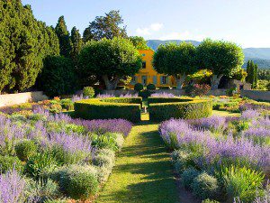 un jardin à la française avec ses parterres fleuris