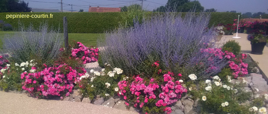 parterre fleuri realise par l entreprise courtin regnier stephane