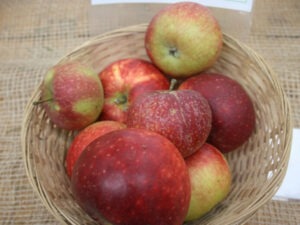 pomme à dessert